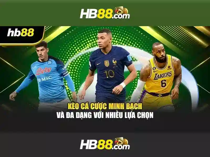 Giới thiệu HB88