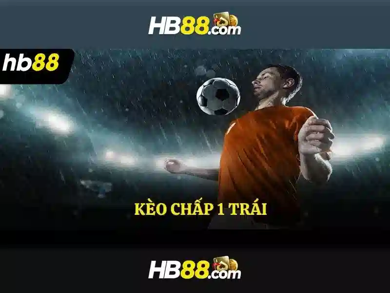 Cách tham gia và trải nghiệm người dùng