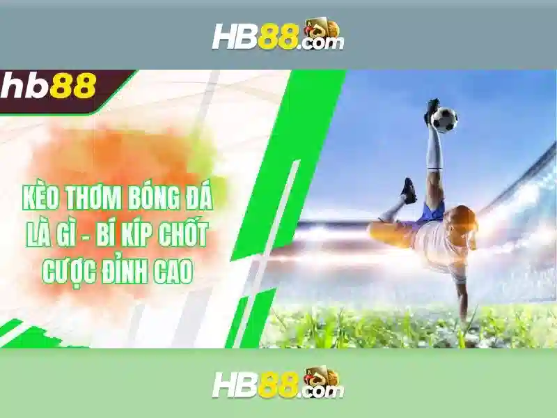 HB88: Tổng quan và hướng dẫn cơ bản Giao diện nhà cái hoàn hảo