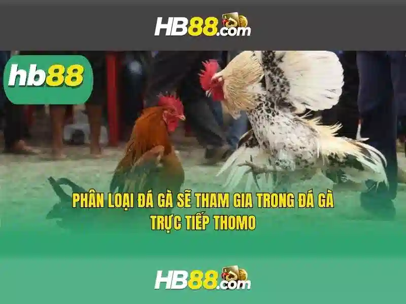 Lịch sử và nguồn gốc