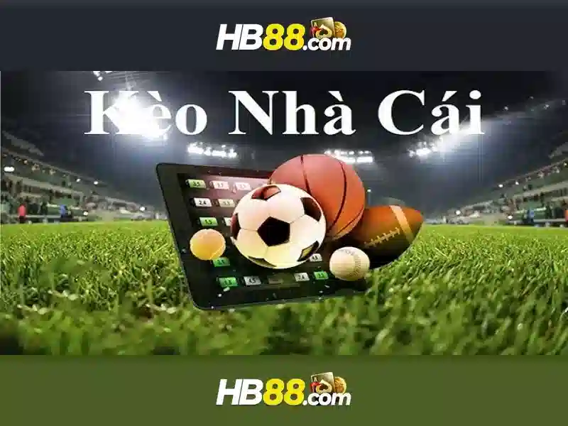 Giao diện nhà cái hoàn hảo