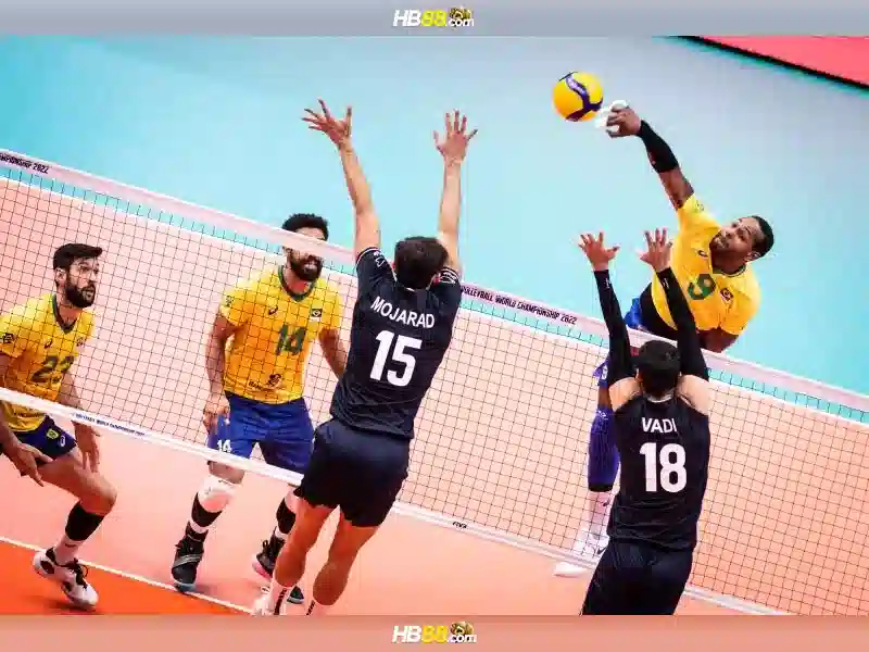 Các lĩnh vực nổi bật