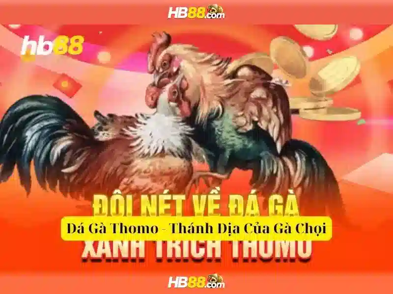 Các sản phẩm chính của hb88