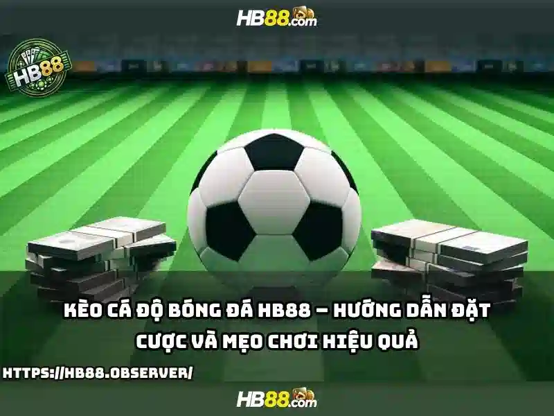 Giao diện nhà cái hoàn hảo