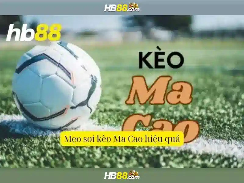 Các sản phẩm và dịch vụ