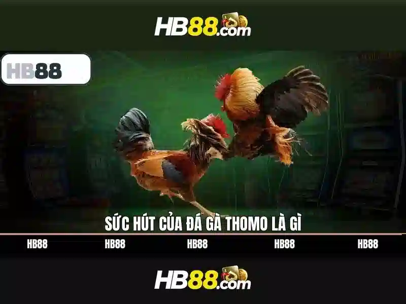 Hướng dẫn đăng ký và hỗ trợ