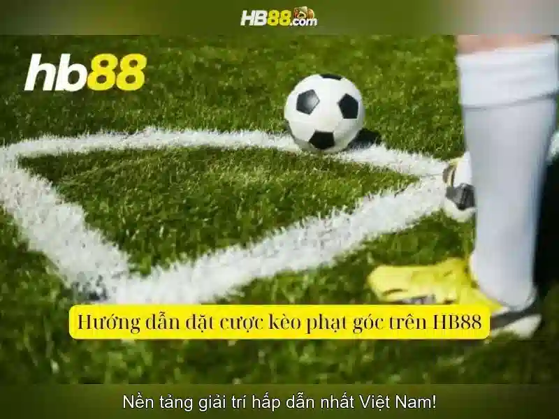 Tài khoản, thanh toán và rút tiền