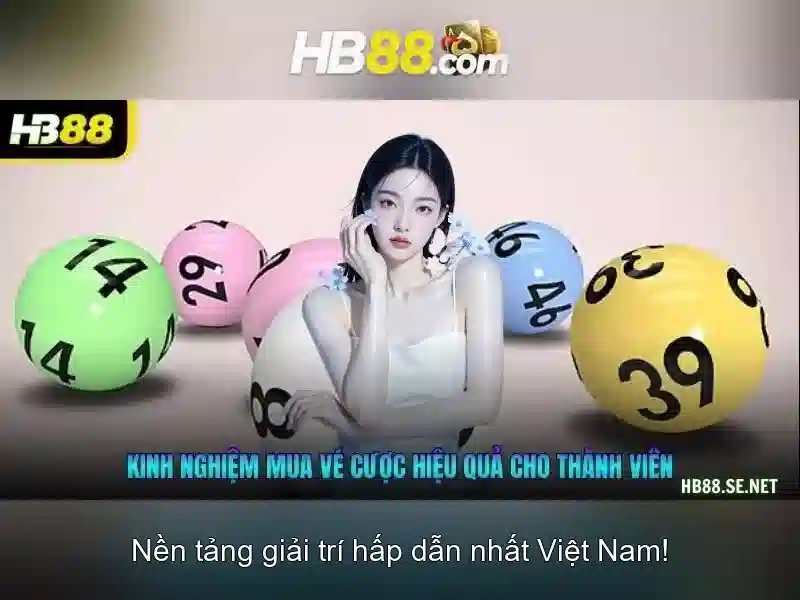 An toàn và giấy phép