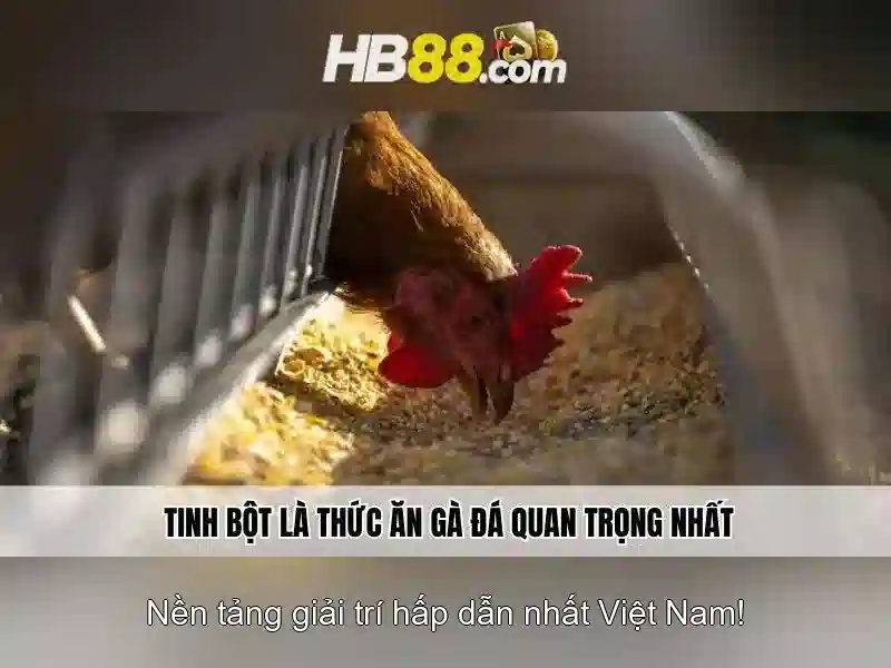 Giao diện nhà cái hoàn hảo