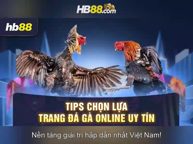 Tính năng nổi bật