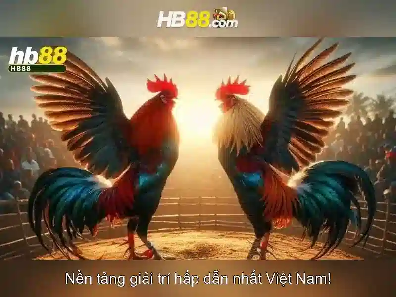Đăng ký và xác thực tài khoản